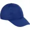 Image for Blue